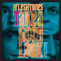 The Fleshtones : Take A Good Look